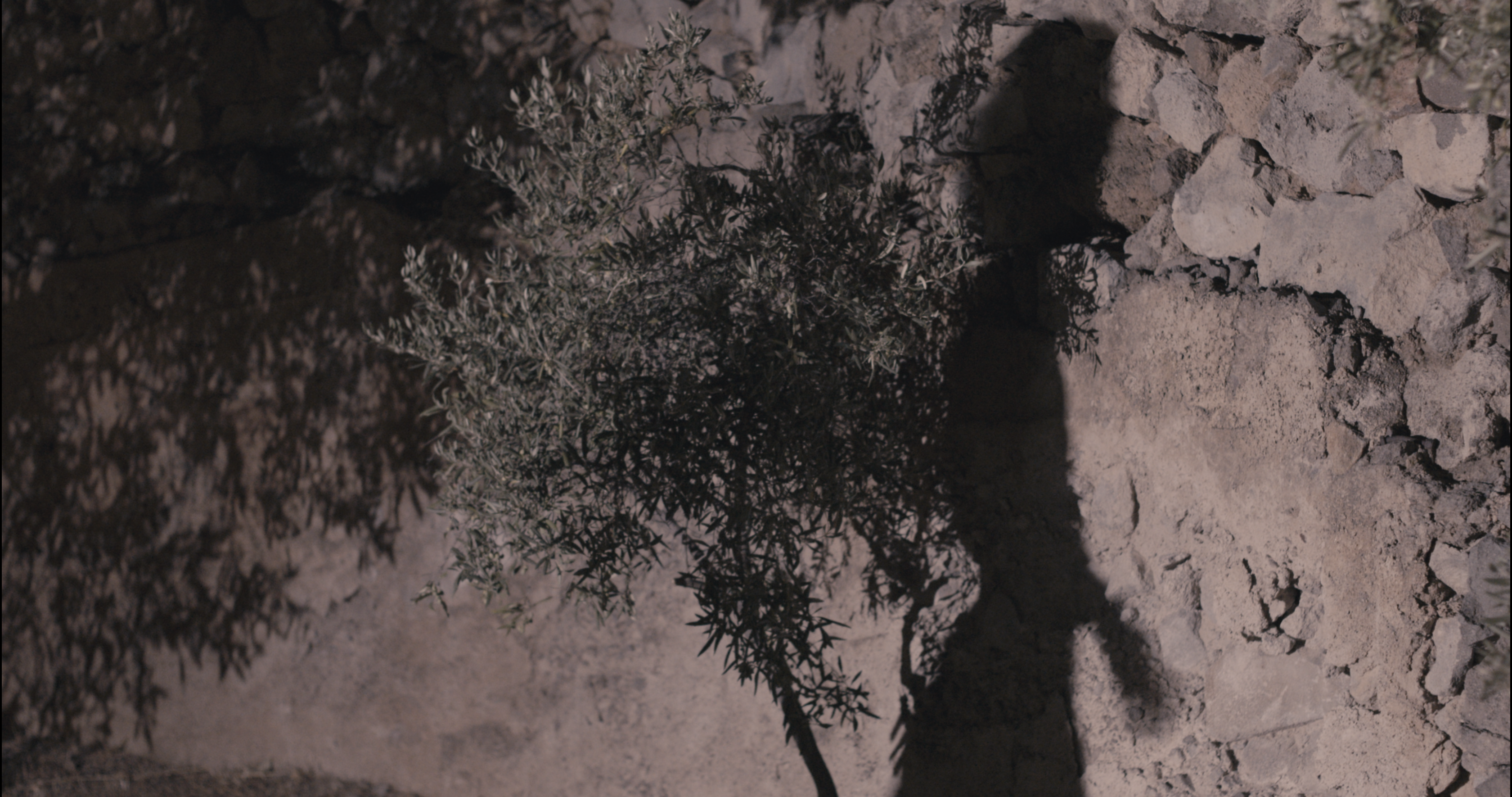 Chiotto Film