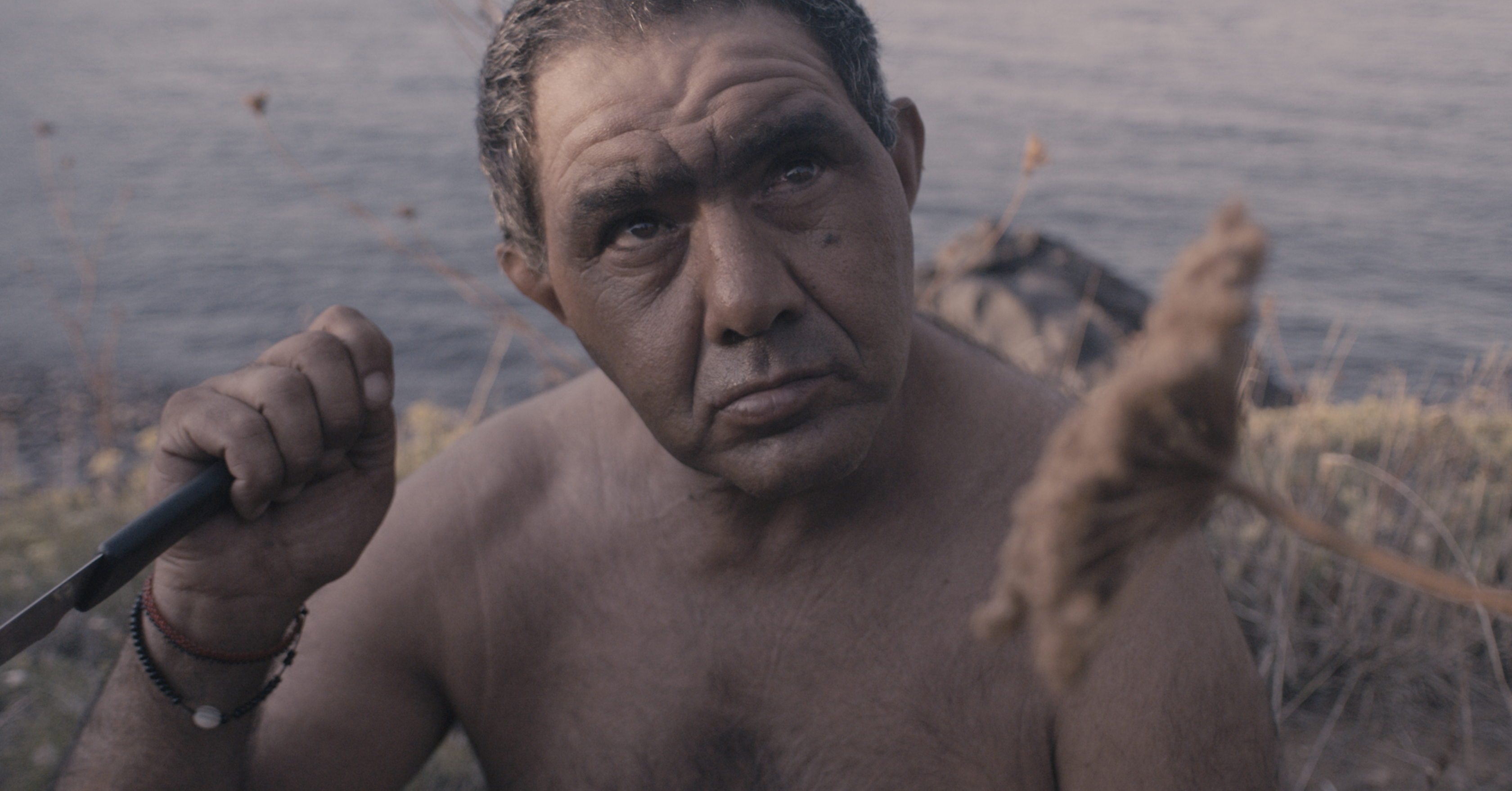 Chiotto Film